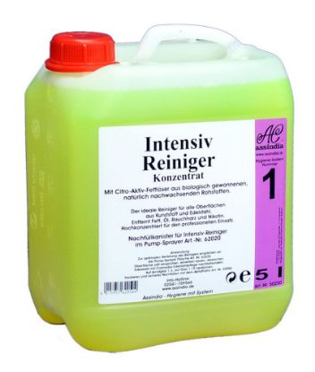 Bild von Intensiv-Reiniger 10 Liter #1