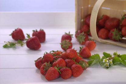 Bild von Erdbeeren mit der Beschreibung lose rollend (Melzer)