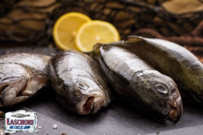 Bild von Forellen ca.300 g ausgenommen mit der Beschreibung 10% Glasur