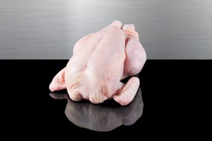 Bild von Griller poly 1100g mit der Beschreibung "Primus" HKL A