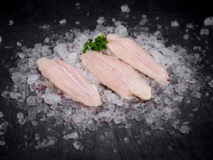 Bild von Pangasiusfilet mit der Beschreibung IQF 180/220g (CP)