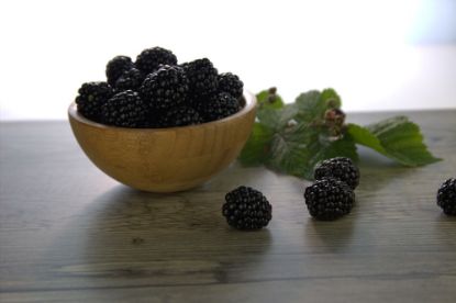Bild von Brombeeren mit der Beschreibung lose rollend (Melzer)