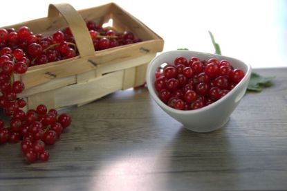 Bild von Johannisbeeren rot mit der Beschreibung lose rollend (Melzer)