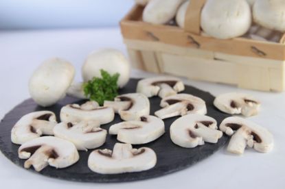 Bild von Champignons Hotel geschnitten mit der Beschreibung II.Wahl, (Melzer)