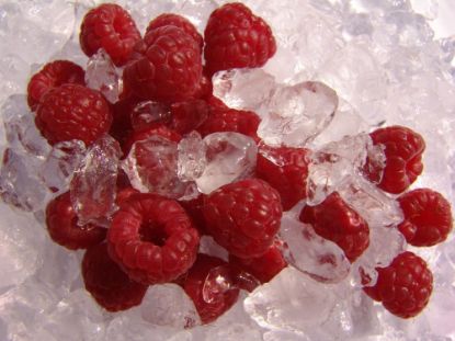 Bild von Himbeeren mit der Beschreibung lose rollend (Melzer)